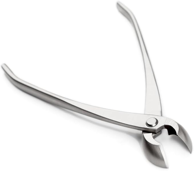 tianbonsai Bonsai Tools 205 Mm Round Edge Cutter Multifunctional Bonsai Cutter With Both Straight Edge And Round Edge