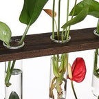 YIBOT Glass Plant Propagation Tubes Accessories Glass Test Tubes Tiered Planters Wall Terrarium for Home Office Plant Hanger Flower Vases Wall Decor Hydroponic Cuttings (5 Tube Vases) Clear