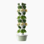 Vertical Hydroponic Grow Tower Aeroponic Tower for Fruits and Vegetables 9 Layer 36 Pots Planter with Water Tank and Pump