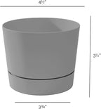 Root & Vessel Majestic Mid-Century Modern Low Profile Cylinder Pot, Matte Gray, 4.5"