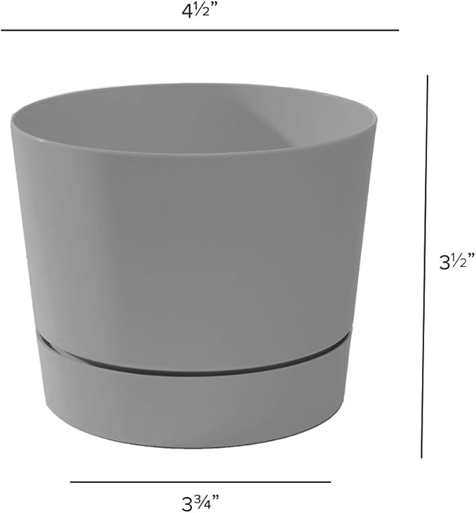 Root & Vessel Majestic Mid-Century Modern Low Profile Cylinder Pot, Matte Gray, 4.5"