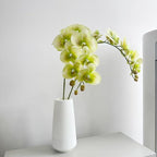 2 Pcs Orchid Stems 38" Artificial Flowers Real Touch Latex Faux Phalaenopsis Branches White Artificial Flowers for Wedding Party Home Garden Decor (Green, 38")