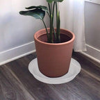 2 Pack of 12 inch Plant Saucer, 1.7" Depth Tray, Large Deep Garden Plastic Flower Planter Plant Trays for Indoors Outdoor Bath Bath (12", Clear)