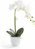 Artificial Orchid Flowers in Pot, 17" Real Touch Phalaenopsis Faux Orchid Plant (Adjustable to 20"), Large White/Pink Fake Flower Arrangement for Dining Table Centerpiece, Home Office (White)