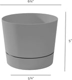 Root & Vessel Majestic Mid-Century Modern Low Profile Cylinder Pot, Matte Gray, 6.5"