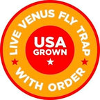 Double Venus Fly Trap Live Plant Set with Terrarium + Carnivorous Plants Food Bundle with Feeding Tweezers - Carnivorous Plant Soil and Live Indoor Venus Flytrap Pair