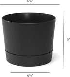 Root & Vessel Majestic Mid-Century Modern Low Profile Cylinder Pot, Matte Black, 6.5"