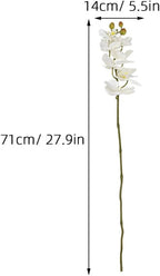 SEWACC Lifelike Phalaenopsis Artificial Orchid Flower Stem Faux Plastic Simulation Flower Branch for Home Decoration Living Room Table Arrangement