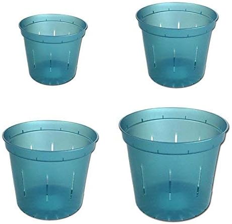 rePotme Slotted Clear Orchid Pots Growers Assortment (8 pots - 2 Each, Blue Sapphire)