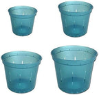 rePotme Slotted Clear Orchid Pots Growers Assortment (8 pots - 2 Each, Blue Sapphire)