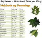 Mediterranean Bay Leaf, Bay Laurel Live Plant. Standard Variety - Laurus Nobilis. Live Plant. Fragrant, Fresh, Edible. Best for Ground Planting Outdoor. (4 Bay Laurel Plants in Cup)