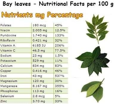 Mediterranean Bay Leaf, Bay Laurel Live Plant. Standard Variety - Laurus Nobilis. Live Plant. Fragrant, Fresh, Edible. Best for Ground Planting Outdoor. (2 Bay Laurel. 4 inch pots)