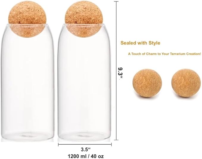 DIY Terrarium Kit with Closed Glass Bottle Container Planter with Lid (Ball Cork) | 2 Jars | Airtight Terrarium | Create Your Own Indoor Garden (No Live Plants)
