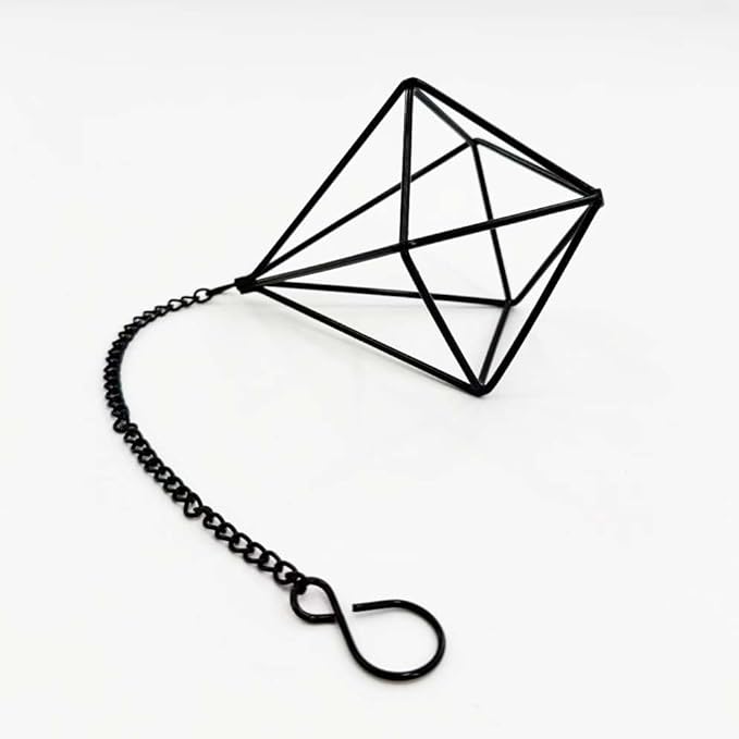 6 Pack Hanging Metal Air Plant Holders with Chain, Black Geometric Tillandsia Air Plant Hanger Cages, 2 Styles Mini Iron Air Plants Live Holders for Home Office Garden Decor