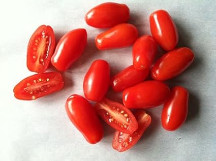 Clovers Garden San Marzano Tomatoes– Two (2) Live Plants – Non-GMO - Not Seeds - Each 4" to 8" Tall – in 4" Inch Pots -Indeterminate, Heirloom Roma
