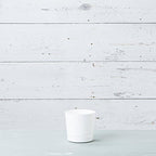Novelty Majestic Full Depth Round Cylinder Pot, Glossy White, 6-Inch (10062)