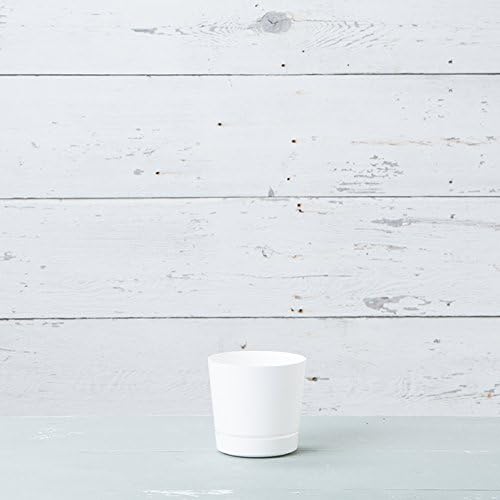 Novelty Majestic Full Depth Round Cylinder Pot, Glossy White, 6-Inch (10062)