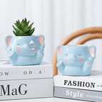 DIYOMR Cute Animals Planter, Mini Ceramic Cartoon Animal Shaped Succulent Flower Pot Indoor Air Plants Holder, Smooth Shiny Decorative Flower Cactus Planter - Plants Not Included (Baby Elephant)