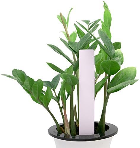 KINGLAKE Large Plant Labels,Plastic Plant Tags 7.8 Inch,100 Pcs Nursery Garden Labels Plants Markers for Outdoor Garden Waterproof,Plants Name Tags White with Marking Pen