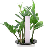 KINGLAKE Large Plant Labels,Plastic Plant Tags 7.8 Inch,100 Pcs Nursery Garden Labels Plants Markers for Outdoor Garden Waterproof,Plants Name Tags White with Marking Pen