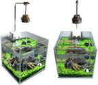 2 Pack Aquarium Plants for Fish Tank, Easy Growing, Real Carpet Decor for Fish Tank/Terrarium