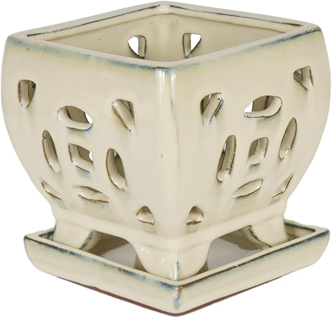 W&W Orchid Pot with Holes and Saucer for Repotting, Cream White, 5.5"