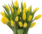KaBloom PRIME OVERNIGHT DELIVERY - WEDDING COLLECTION - PREMIUM 20 Yellow Tulips. Gift for Birthday, Sympathy, Anniversary, Get Well, Thank You, Valentine, Mother’s Day Fresh Flowers