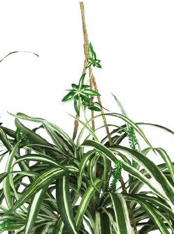 Nearly Natural 6607 Spider Hanging Basket Decorative Silk Plant, Green,10.25" x 10.25" x 17.5"