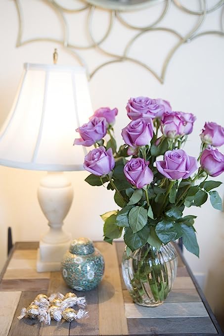 KaBloom - 24 Stems of Purple Roses (Cut-to-Order, and Homegrown in the USA) - Fresh Flowers for Birthday, Valentine's & Mother's Day