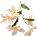 Flame Orchid Artificial Bouquet,Living Room Decorative Flowers,Suitable for Home Party Decorations，Flame Orchid Decorations(Beige Pink)