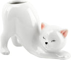 Tailless Cat Ceramic Planter – for Succulents & Cactus, Indoor Small Pot | Home/Office Desk Decor, Gift for Pet Lovers