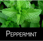Peppermint Live Edible Aromatic Herb Plant, Pet Friendly, Part Shade, 2 Pack