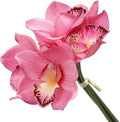 HUFFA Moisturizing Hand-Feeling Orchid Bundle Home Living Room Decoration Ornaments Fake Flower Bonsai Hand-Feeling Phalaenopsis(Deep Pink)