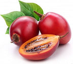 Tamarillo Tree Tomato Tamamoro Tomate de Arbol Seeds 35 PCS