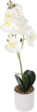 NUOBESTY Artificial Phalaenopsis Orchid Plant Fake Potted Flowers Home Decor White Small Indoor Faux Orchid Bonsai for Living Room Table Decoration