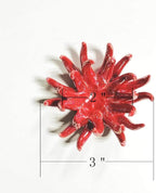 6 Pack air plant Holders (6Pcs Air Plant Containers w/6 Colors Assorted) A Ceramic Coral Set to CreateGifts or Decorate Tabletop - air plants Not Included