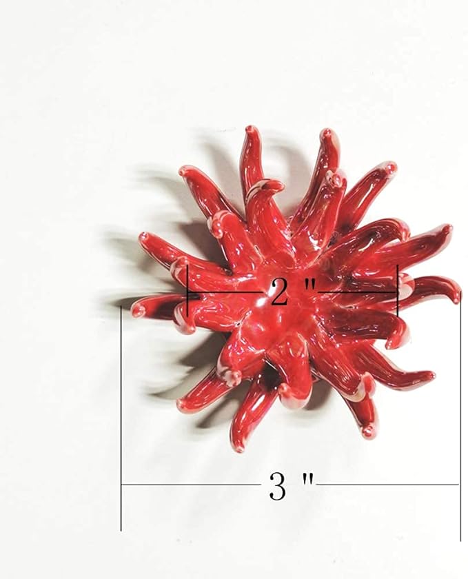 6 Pack air plant Holders (6Pcs Air Plant Containers w/6 Colors Assorted) A Ceramic Coral Set to CreateGifts or Decorate Tabletop - air plants Not Included