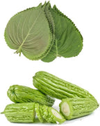 HipGirl Authentic Asian Gourmet Seed Bundle: Green Perilla Shiso (200ct) & Smooth Skin Bitter Melon (10-12ct) | Non-GMO Heirloom Seeds for Summer Gardening, Trellis, & Hydroponics
