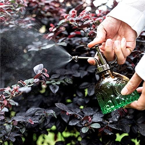 TOMEX Glass Plant Mister Spray Bottle 200ML Vintage Style Plant Spritzer Small Sprayer Mister Succulent Watering Bottle with Top Pump Watering Can for Indoor Outdoor House Plants,Flowers (Grey)