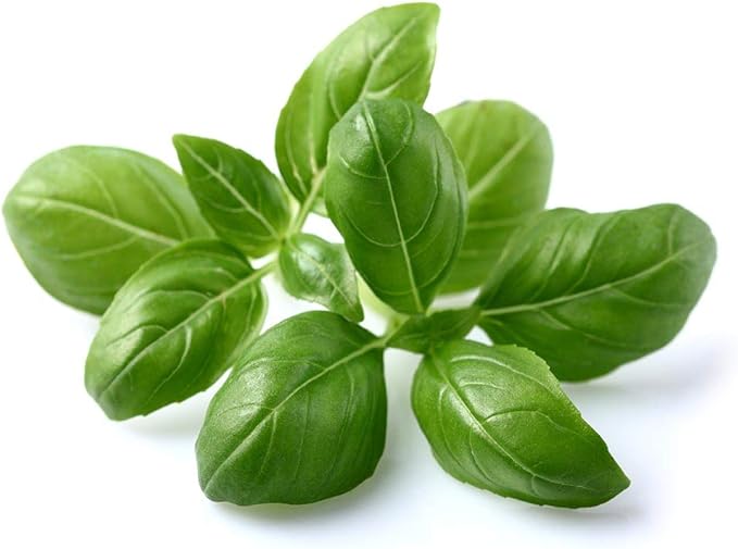 Click and Grow Smart Garden Basil Plant Pods, 3-Pack
