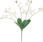Baluue Artificial Phalaenopsis Orchid Stem Faux Leaves White Butterfly Orchid Flower for Indoor Home Decor Living Room Wedding Event Floral Arrangement