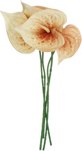 uxcell 4Pcs 11inch Artificial Anthurium Lily Flowers, Permanent Flower Bouquet for Home Arrangements Wedding Festival Decoration Crafts Store Decor Accessories, Champagne
