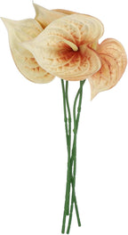 uxcell 4Pcs 11inch Artificial Anthurium Lily Flowers, Permanent Flower Bouquet for Home Arrangements Wedding Festival Decoration Crafts Store Decor Accessories, Champagne