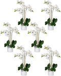 Serene Spaces Living White Realistic Phalaenopsis Orchids in Pot, Artificial Potted Flowers - Beautiful Entryway Vase, Foyer Table Décor, Measures 26" Tall & 5" Diameter, Set of 6