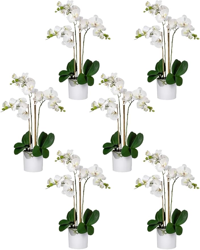 Serene Spaces Living White Realistic Phalaenopsis Orchids in Pot, Artificial Potted Flowers - Beautiful Entryway Vase, Foyer Table Décor, Measures 26" Tall & 5" Diameter, Set of 6
