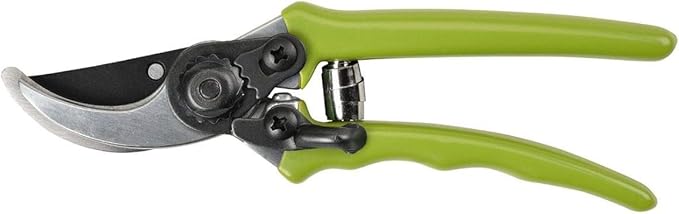 Micro Secateur - RHS Endorsed Green handle
