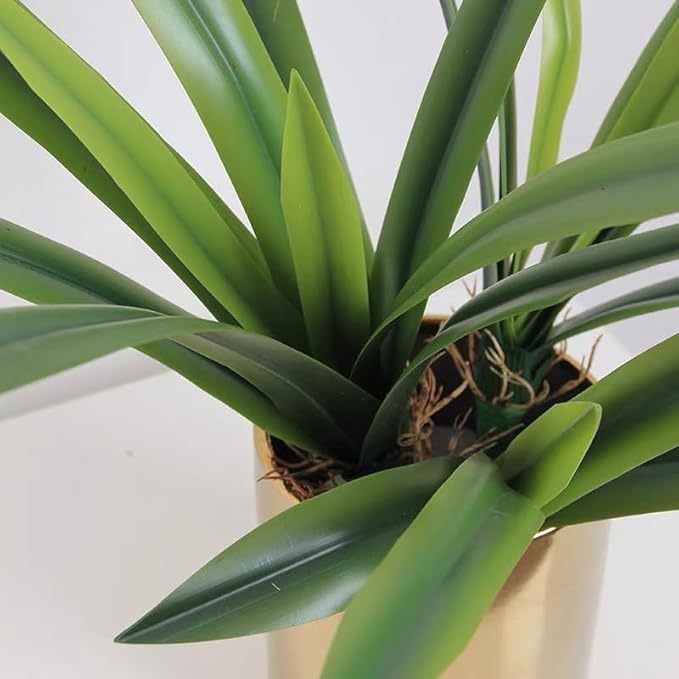 Set of 3pcs Real Touch Artificial Cymbidium Plants with Stems and Roots and 2pcs Orchid Flowers for Pot or Vase, Faux Orchid Stems That Look Real for Indoor Home Office Decor (Grn and YEL)