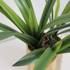 Set of 3pcs Real Touch Artificial Cymbidium Plants with Stems and Roots and 2pcs Orchid Flowers for Pot or Vase, Faux Orchid Stems That Look Real for Indoor Home Office Decor (Grn and YEL)