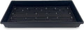 10 Plant Growing Trays (WITH Drain Holes) - 20" x 10" - Perfect Garden Seed Starter Grow Trays: For Seedlings, Indoor Gardening, Growing Microgreens, Wheatgrass & More - Soil or Hydroponic