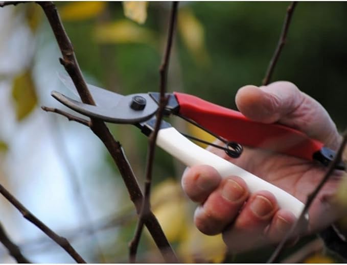 Niwaki Secateurs